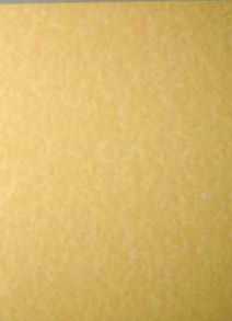 Heavy Parchment Paper 5 Pack